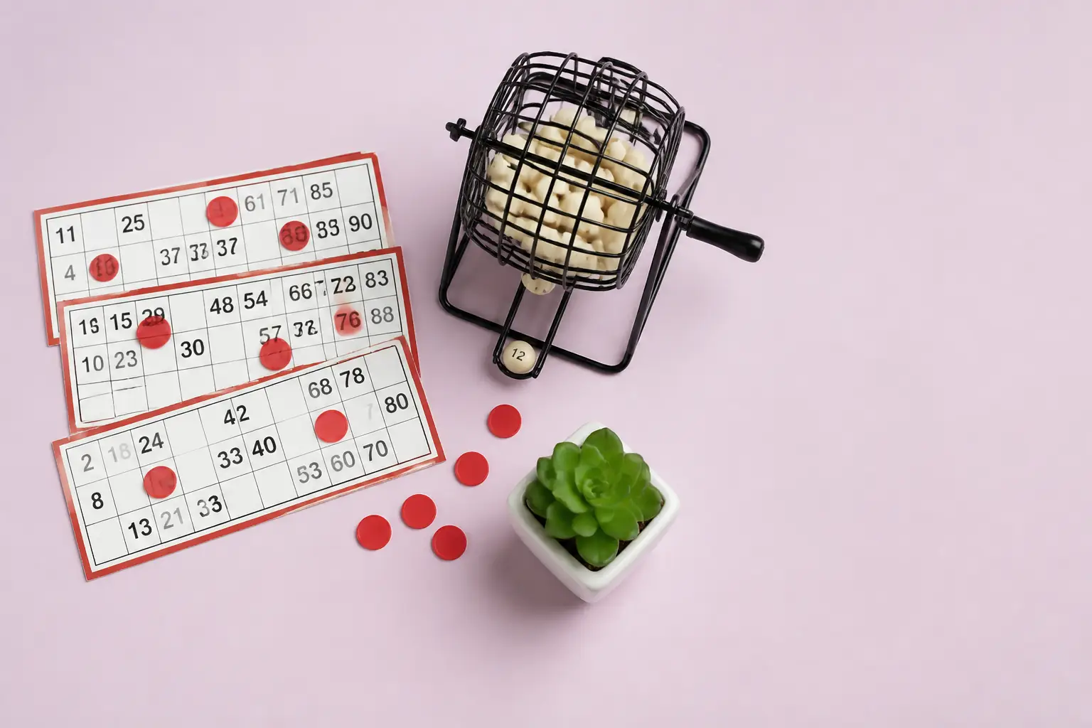 Spinland Bingo visual guide for Spinland Casino